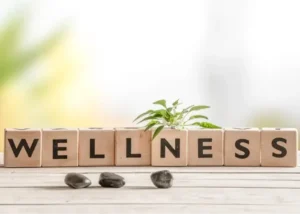 Wooden blocks spelling “wellness” with a small plant and smooth stones symbolising natural health and preventative care.