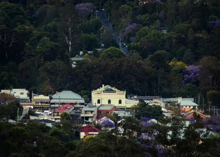 Aerial view of Bellingen township with historic buildings, forested hills and jacaranda trees.