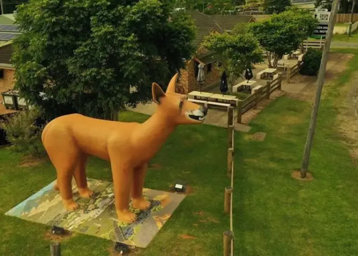 Large dingo sculpture in Glenreagh with surrounding trees and nearby buildings.