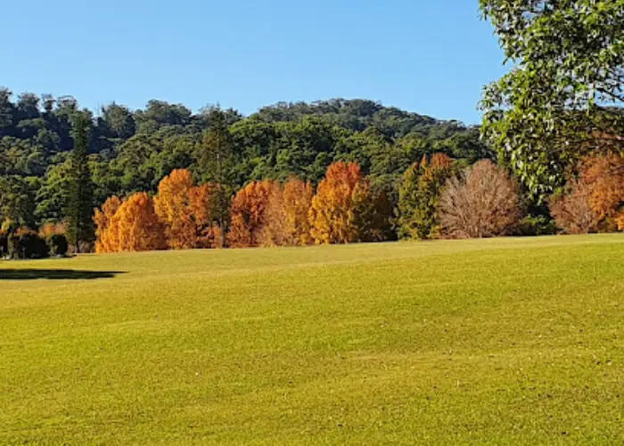 Grassy field in Karangi with autumn trees and forested hillside under a clear blue sky.