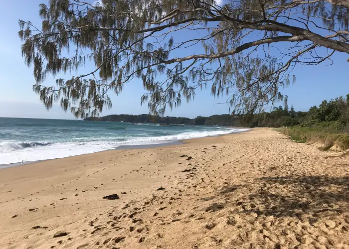 Peaceful beach scene in Korora, representing the local service area for Harris Chiropractic.