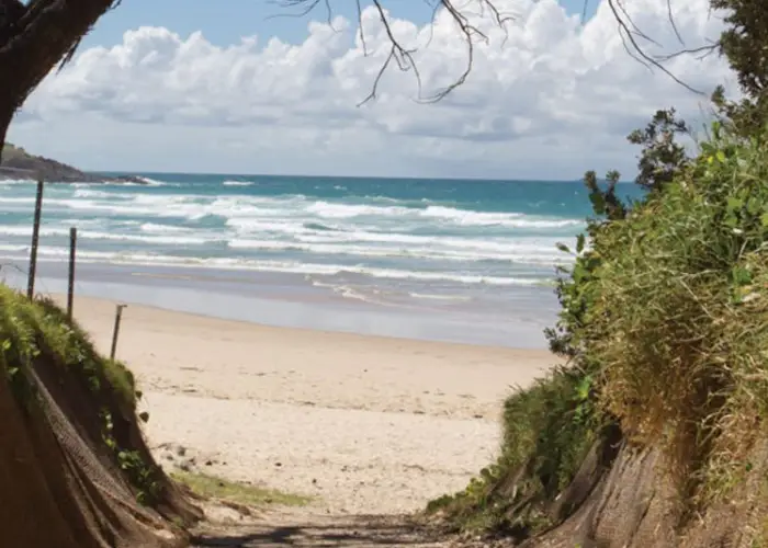 Beach access path opening onto Mullaway Beach with waves and coastal vegetation.